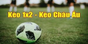 Kèo Châu Âu OK365 - Chi Tiết Cách Đọc Kèo Và Bí Kíp Đặt Cược